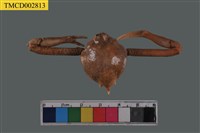 藏品(遁行長臂蟹)的圖片